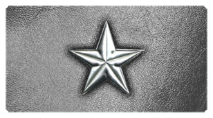 DSC700 430 SL SL Star Silver Silver